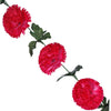 image variant Rosa