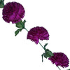 image variant Morado