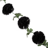 image variant Negro