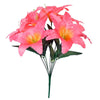 image variant Rosa