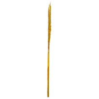 Art.6565 Flor De Pampa Grande