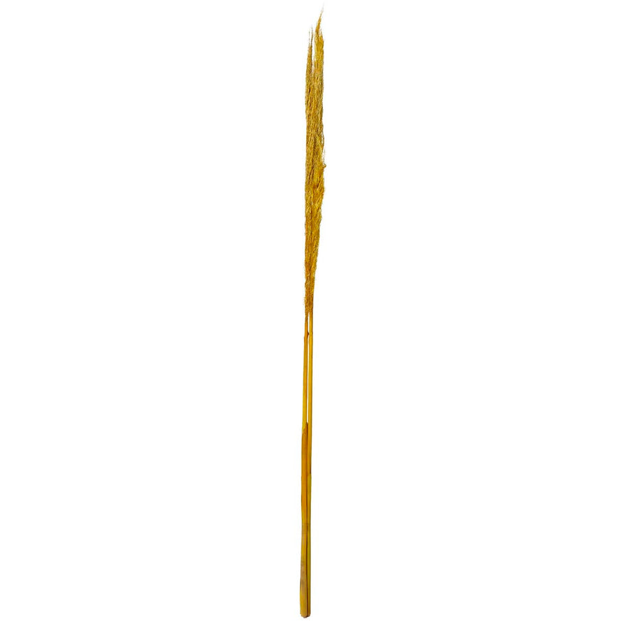 Art.6565 Flor De Pampa Grande
