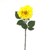 image variant Amarillo