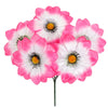 image variant Rosa