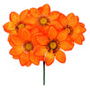 image variant Naranja