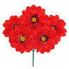 image variant Rojo