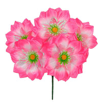 Art.8730 Bush Chico Lily 2 Tonos x5