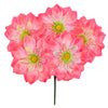 image variant Coral