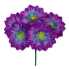 image variant Morado