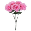 image variant Rosa