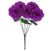 image variant Morado