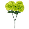 image variant Verde