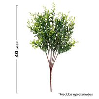 Art.9111 Planta Fina x7 41cm 1pz