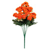 image variant Naranja