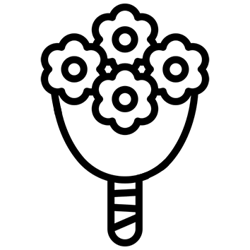 Videos para Decoración