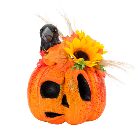 Calabaza Con Cuervo