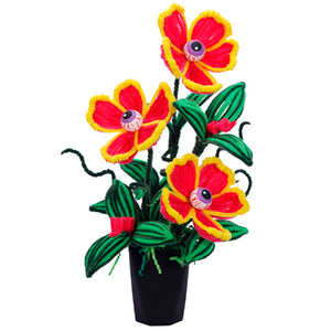 Planta Carnívora Fiusha