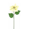 image variant Crema/Rosa