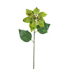 image variant Verde