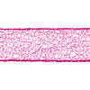 image variant Fiusha