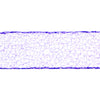 image variant Morado