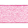 image variant Fiusha