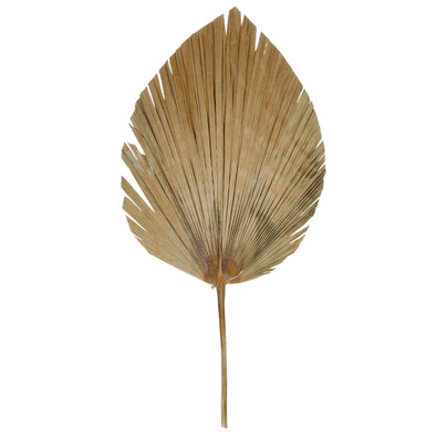 Fantasías Miguel Art.10228 Hoja De Palma 1.10m   (Aprox) 1pz