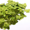image variant Limon