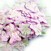 image variant Rosa Ab