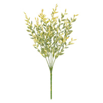 Art.10465 Planta Fina