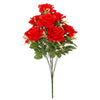 image variant Rojo