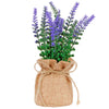 image variant Lavanda