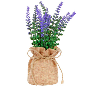 Art.10534 Planta Lavanda15cm Base D/Yute