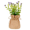 image variant Lavanda