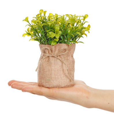 Fantasías Miguel Art.10539 Planta Base De Yute 17.5cm 1pz