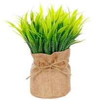 Art.10541 Planta Base De Yute