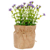 image variant Lavanda