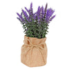 image variant Lavanda