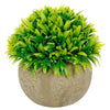 image variant Verde
