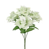 image variant Blanco/Verde