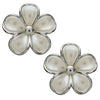 image variant Plata/Perla
