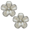 image variant Plata/Perla