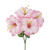 image variant Rosa
