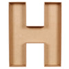 image variant H