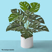 Fantasías Miguel Art.11248 Plantas X12 Hojas 45cm 1pz