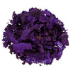 image variant Morado