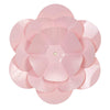 image variant Rosa