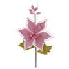 image variant Rosa