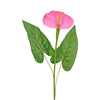 image variant Fiusha