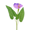 image variant Morado